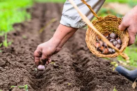 Tuinklussen oktober: 14 klussen voor de herfst