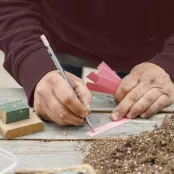 Koudekiemers zaaien in de winter: zo werkt het