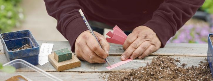 Koudekiemers zaaien in de winter: zo werkt het
