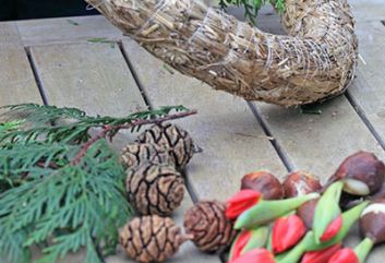 Tulpenkrans voor kerst