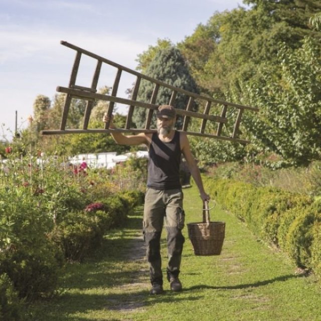 September op kasteel Hex: waarom tuinbaas Gust geen koelkast gebruikt om groenten te bewaren