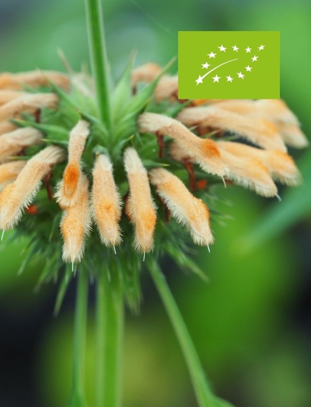 Zaaien lukt niet? Waarschijnlijk ligt het hieraan