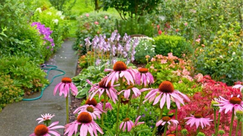 Een levende tuin? Begin met deze 21 bijvriendelijke planten