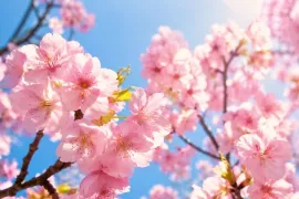 Vroegbloeiende struiken: 11 toppers voor kleur en geur