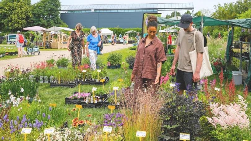 Kom ook naar Appeltern Plantenfestijn met Groei & Bloei (op 6 en 7 juni)