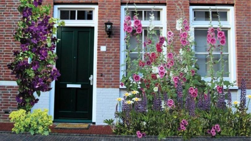 Geveltuin aanleggen? Begin bij de juiste planten
