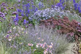 Beplantingsplan voor kleur in oktober