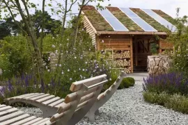 Olivijn, da’s pas fijn? 8 vragen over de klimaatvriendelijke toversteen
