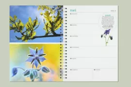 Maak jij de perfecte foto voor de Groei & Bloei tuinplanner 2027?