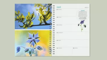 Maak jij de perfecte foto voor de Groei & Bloei tuinplanner 2027?