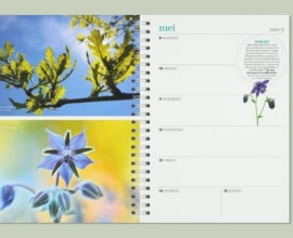 Maak jij de perfecte foto voor de Groei & Bloei tuinplanner 2027?