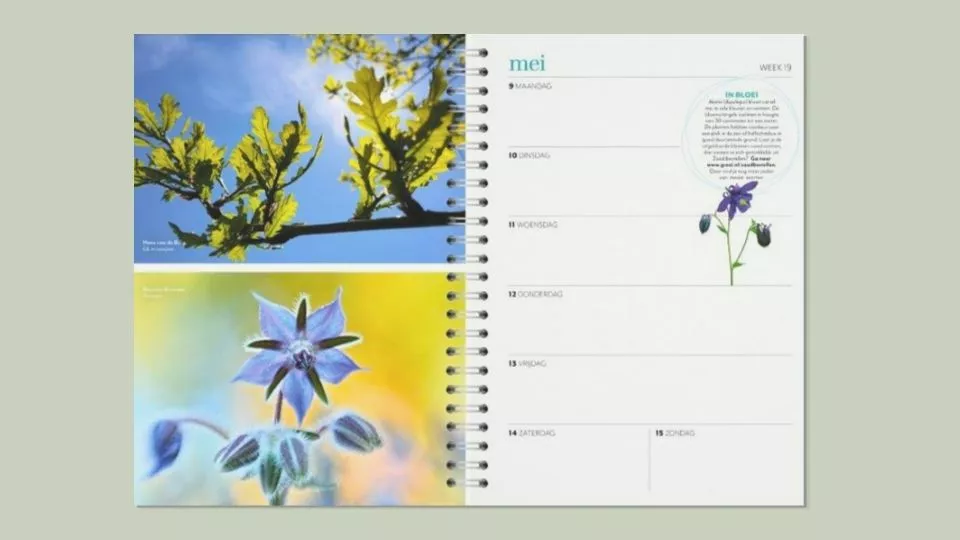 Afbeelding Maak jij de perfecte foto voor de Groei & Bloei tuinplanner 2027?
