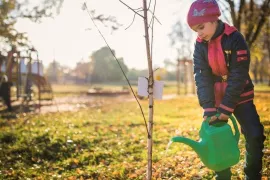 Najaar: het perfecte plantseizoen