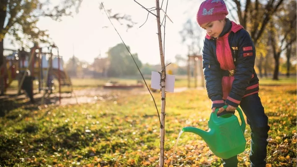 Afbeelding Najaar: het perfecte plantseizoen