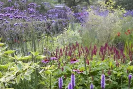 Beplantingsplan voor een vlinderborder