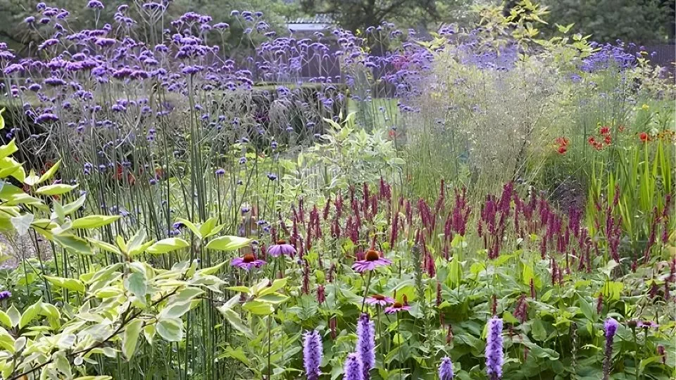 Afbeelding Beplantingsplan voor een vlinderborder