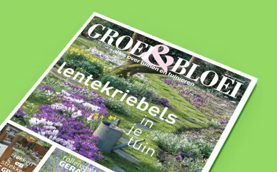 Tijdschrift