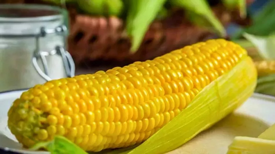 Afbeelding Suikermais zaaien in de moestuin: zoeter dan je verwacht