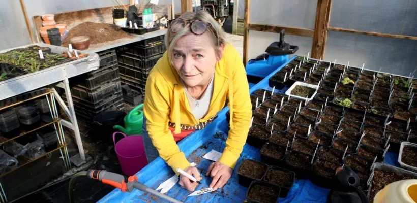 Zaaien met Margriet in de winter