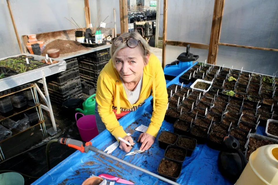 Afbeelding Zaaien met Margriet in de winter