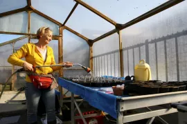 Zaaien met Margriet in februari en maart - bestel de zaden