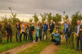 Meer Bomen Nu geeft miljoenen jonge bomen een tweede kans