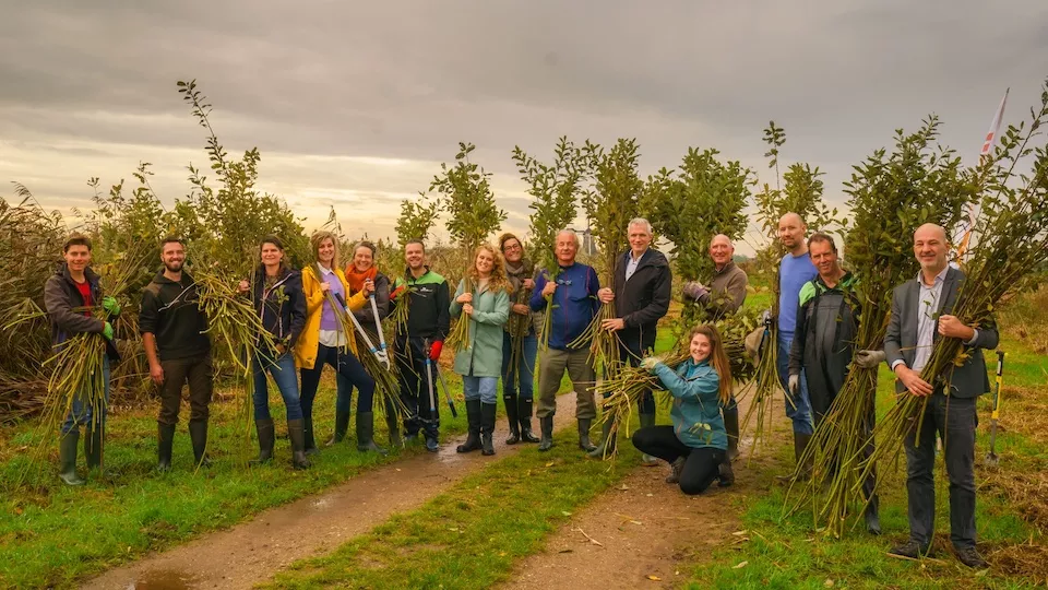 Afbeelding Meer Bomen Nu geeft miljoenen jonge bomen een tweede kans