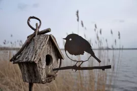 Heb jij al een nestje gevonden?