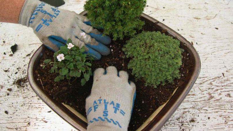 Tuin in zakformaat: zo maak je een minituintje