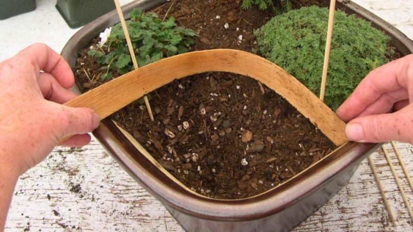 Tuin in zakformaat: zo maak je een minituintje