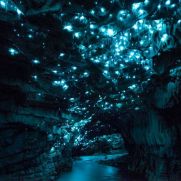 New-zealand-waitomo-glowworm-caves - kopie
