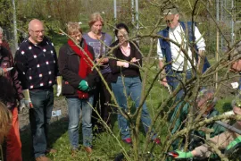 Workshop `mooie rozen in de tuin`