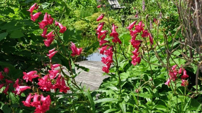 Tuinklussen in augustus: 14 klussen voor een relaxte nazomer
