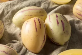 Pepino kweken: de meloenpeer die overwintert in het zwembad