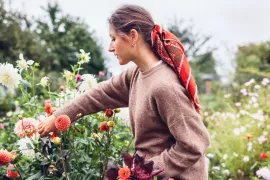 Zelf je bloemen plukken: vind een pluktuin bij jou in de buurt