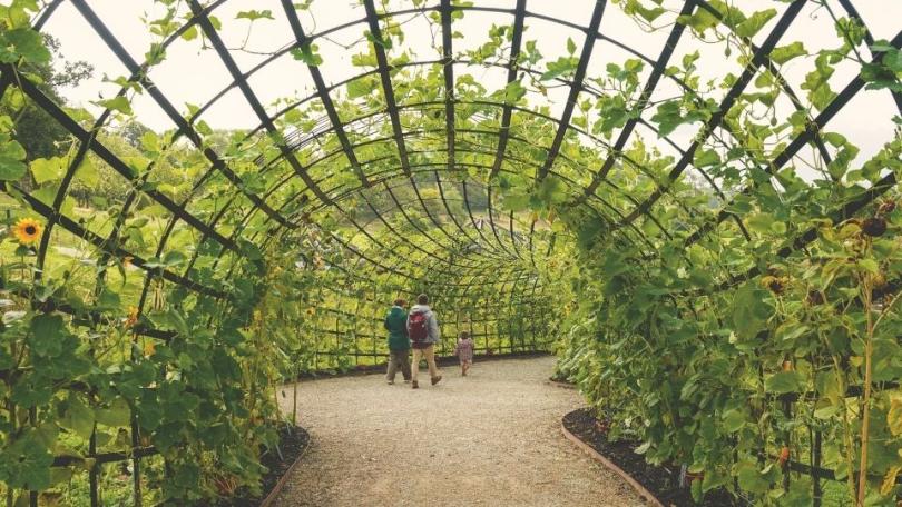 Groentje gaat op tuinenreis: ik snapte de lol niet, tot nu