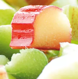 Vier heerlijke recepten met rabarber