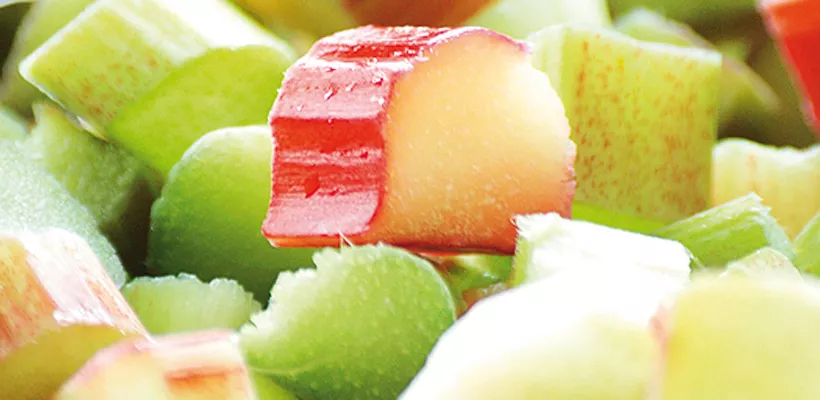 Vier heerlijke recepten met rabarber