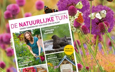 Tijdschrift