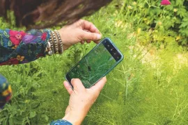 Groei & Bloei Bioblitz 2026: ontdek de biodiversiteit in je eigen tuin
