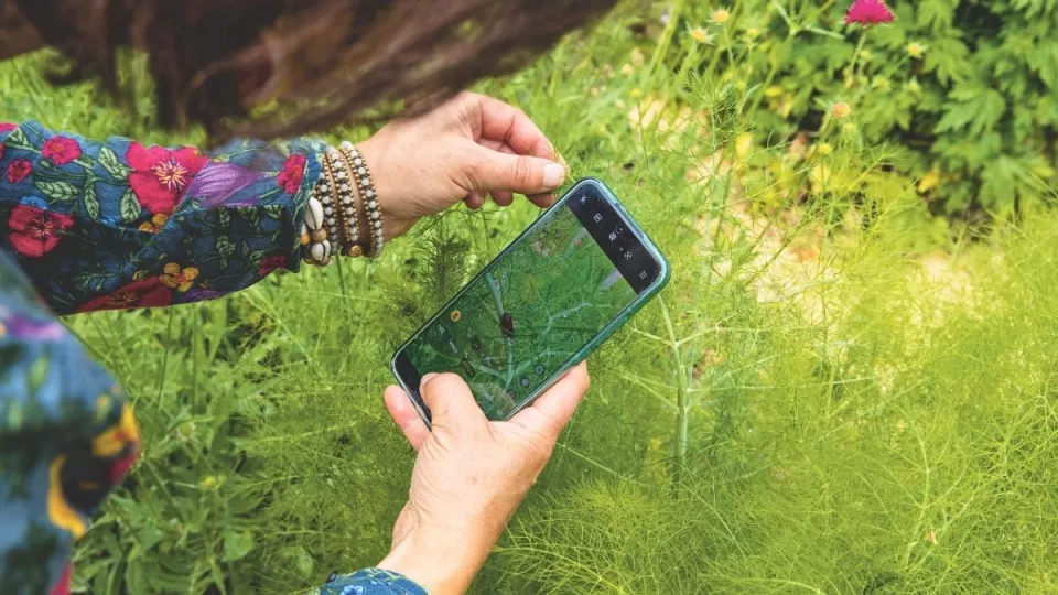 Afbeelding Groei & Bloei Bioblitz 2026: ontdek de biodiversiteit in je eigen tuin