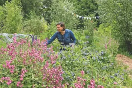 Spontane planten: kijk eens wat er vanzelf in je tuin groeit