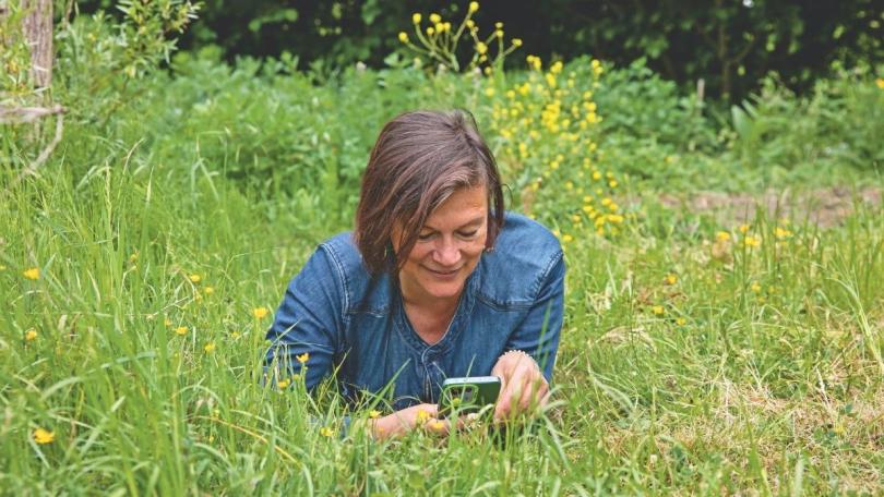 Spontane planten: kijk eens wat er vanzelf in je tuin groeit