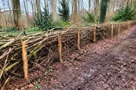 Een takkenril maken van je snoeihout