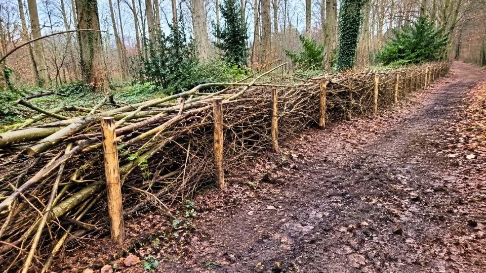Afbeelding Een takkenril maken van je snoeihout