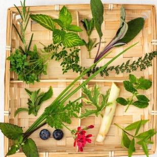 Zelf kruidenthee maken? 10 planten voor thee uit eigen tuin