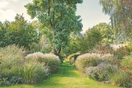 Niet maaien maar bewonderen: siergrassen in de tuin