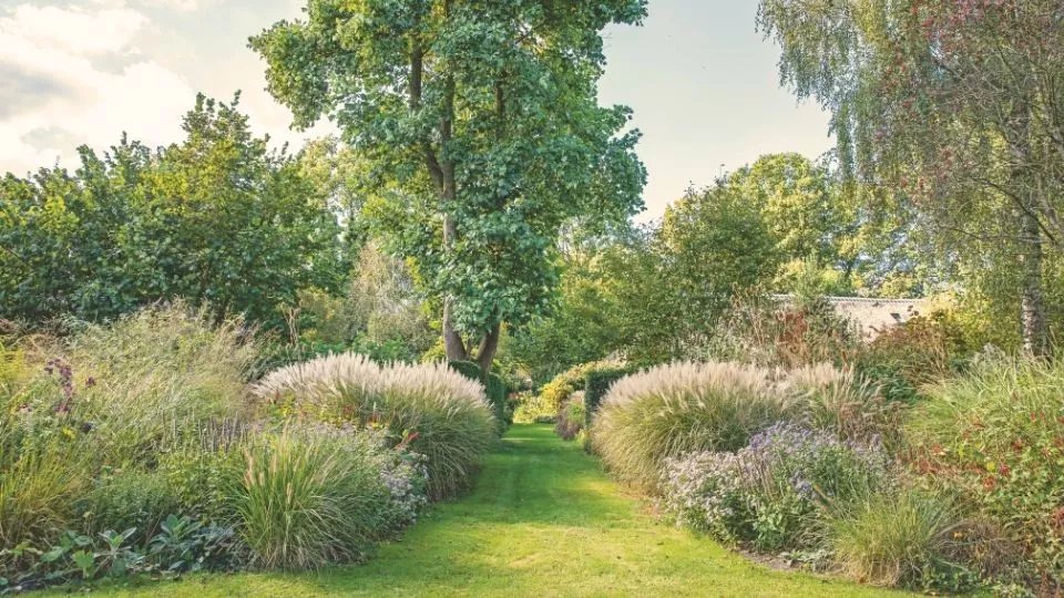 Afbeelding Niet maaien maar bewonderen: siergrassen in de tuin