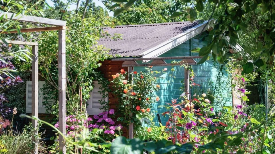 Afbeelding Een tuinhuis plaatsen: hier moet je op letten