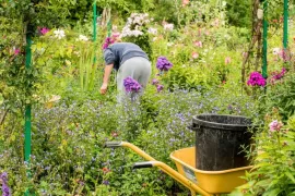 Tuinklussen in augustus: 12 klussen voor een relaxte nazomer
